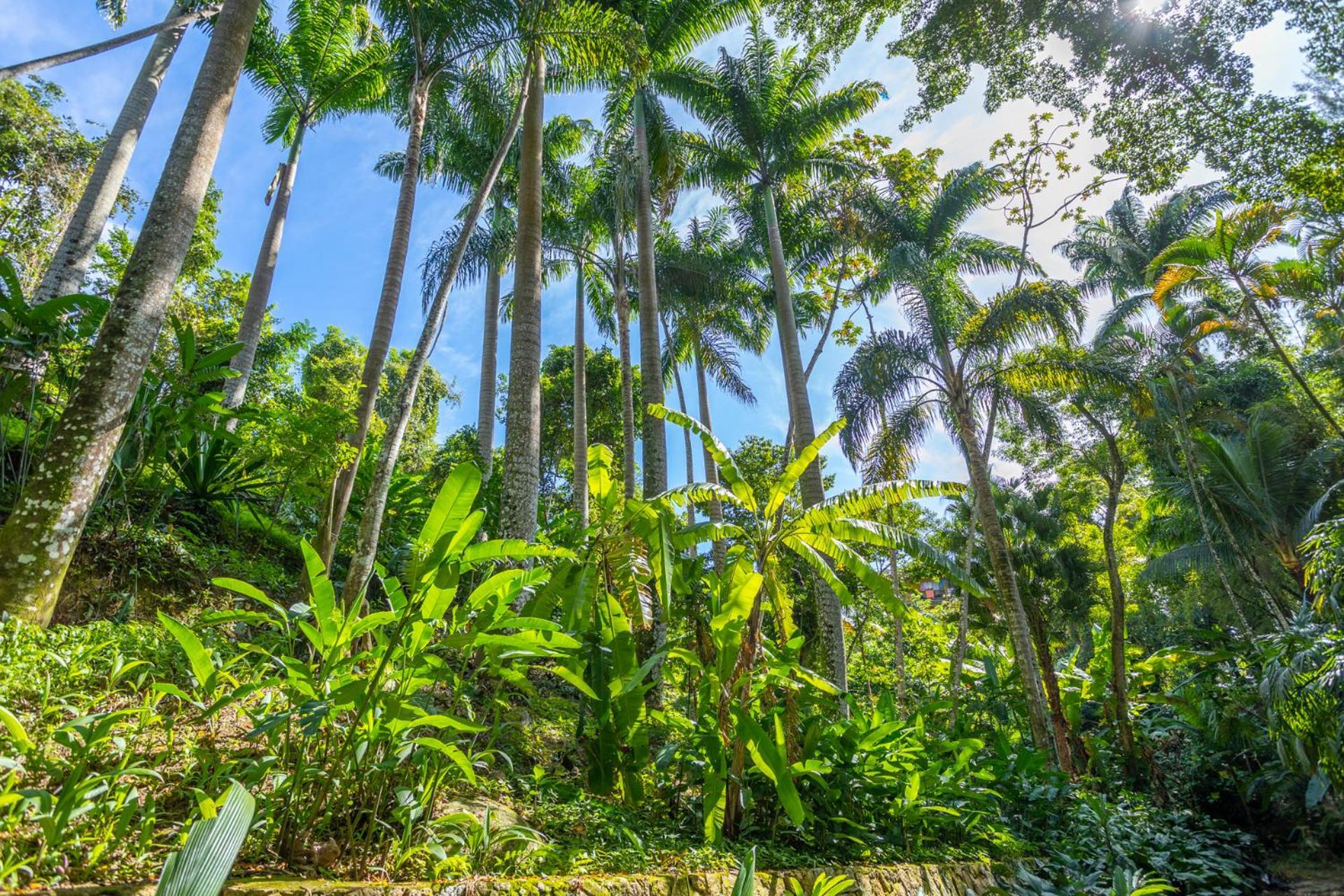 Cabanas Do Bosque Ilhabela Esterno foto